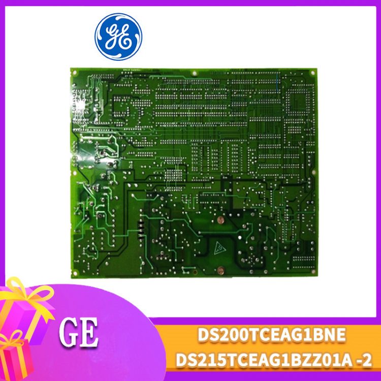 DS200TCEAG1BNE DS200TCEAG1BNE
