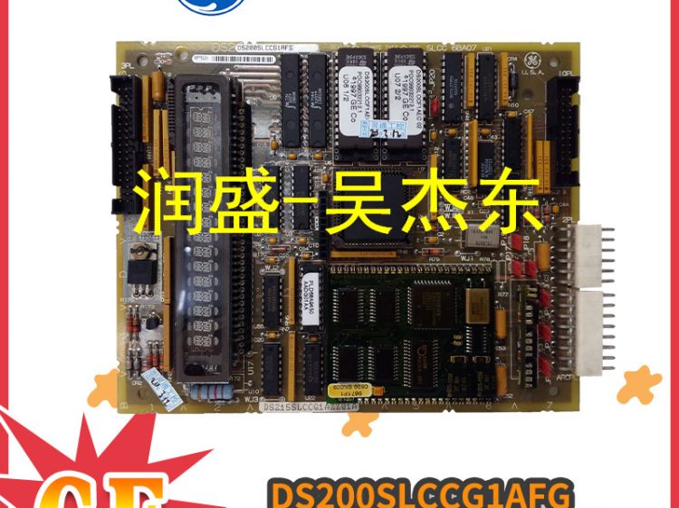 DS200SLCCG1AFG-DS215SLCCG1AZZ01A