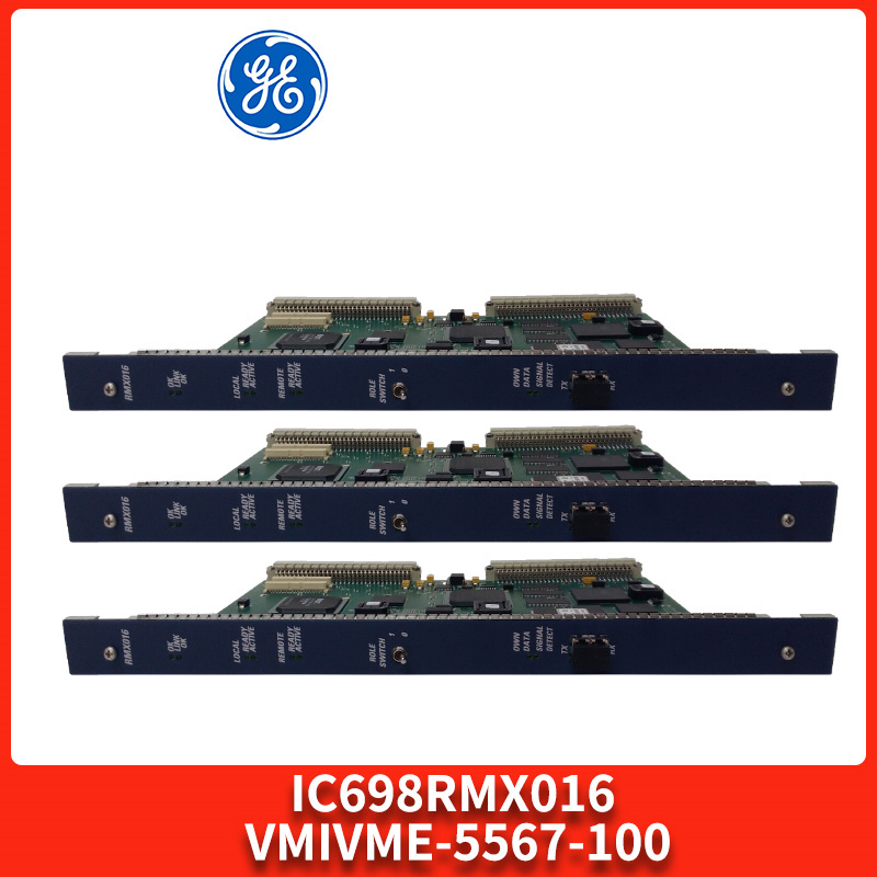 IC698RMX016