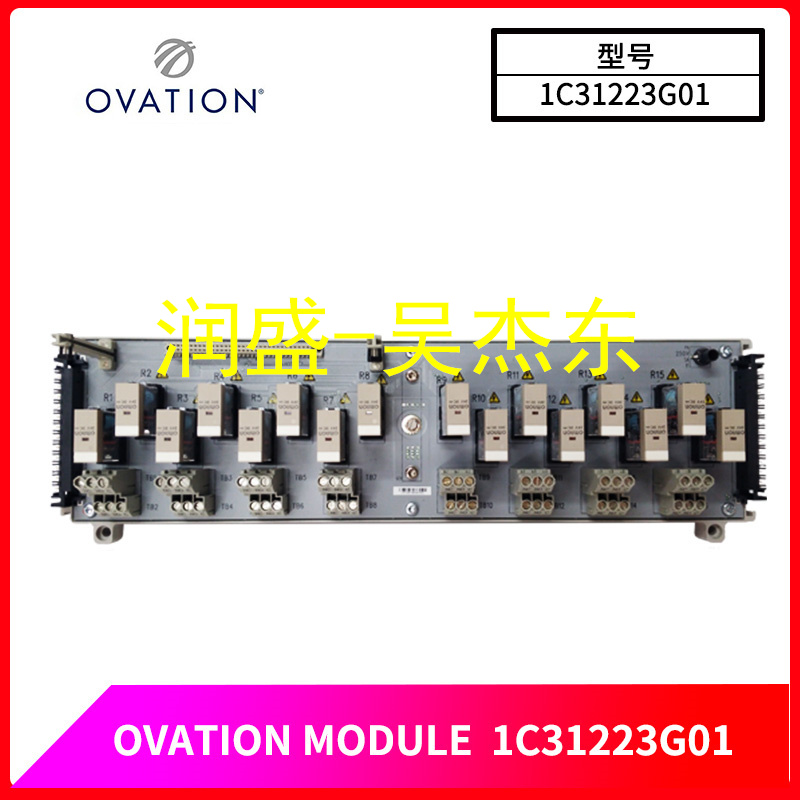 1C31223G01 1C31223G01