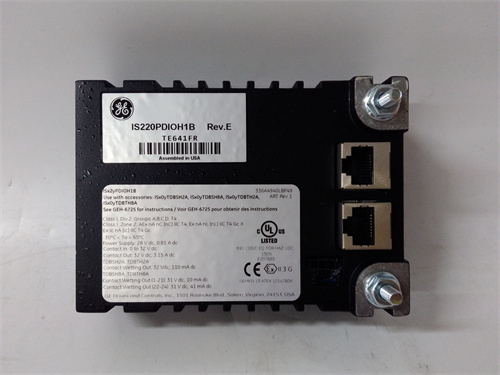 IS220PDIOH1B (3)