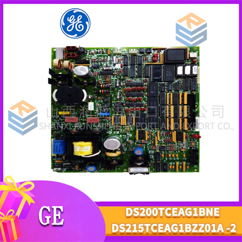 GE DS200TCEAG1BNE DS215TCEAG1BZZ01A (1)