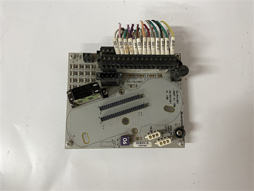 CC-TAIX01 (3)