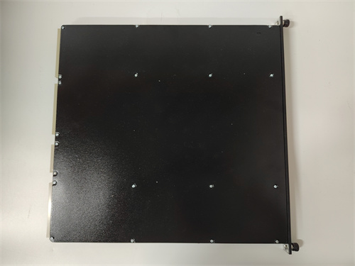 TRICONEX 3625C1(2)