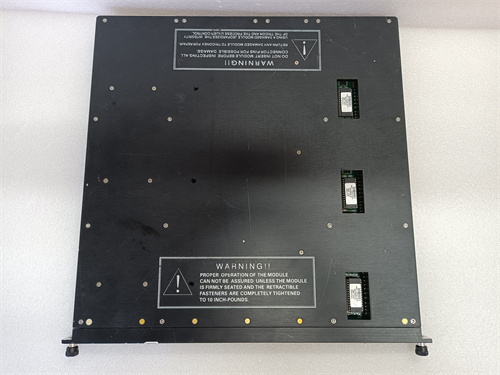TRICONEX 3805E (1)