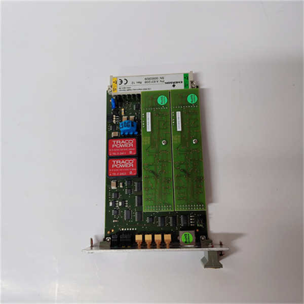 EMERSON A631206 (5)