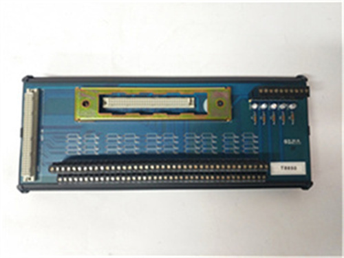 ICS TRIPLEX T8850 (1)