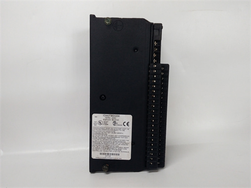 IC660EBD025 (3)